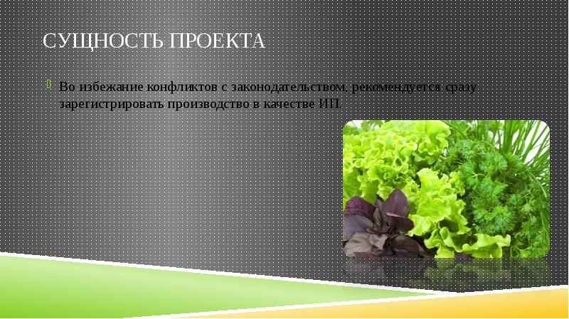 Презентация на бизнес план по выращиванию