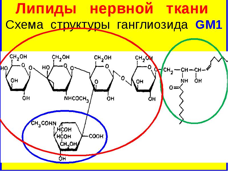 Неон схема строения