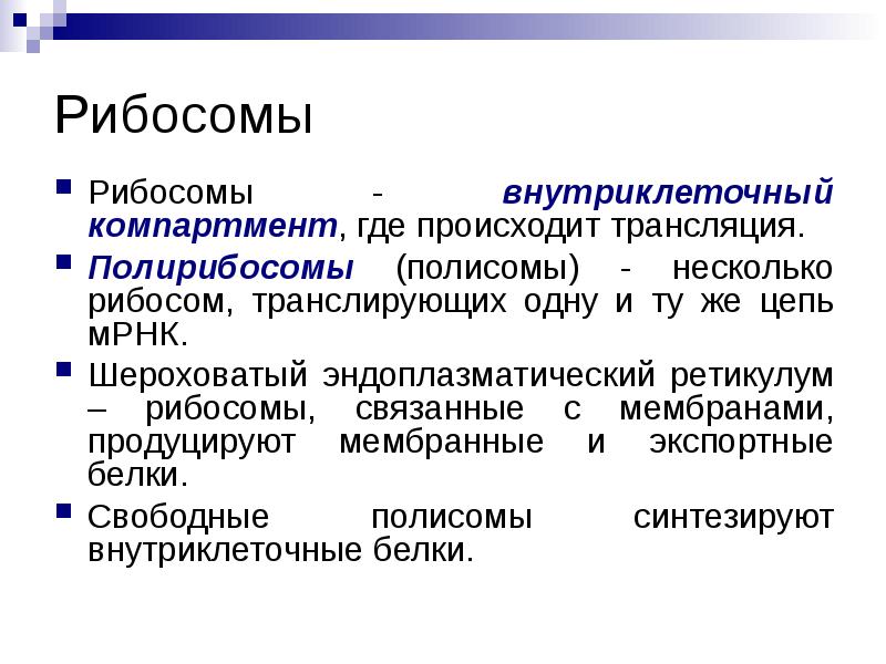 Компартмент что это. Трансляция информации. Компартмент мембраны. Экспортные белки это. Полирибосомы.