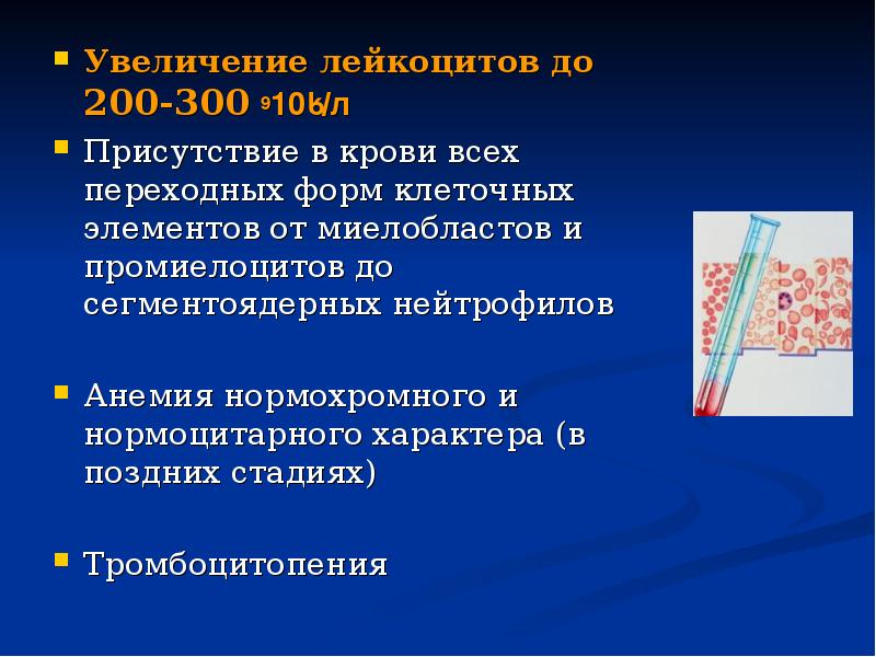 Увеличение лейкоцитов до 200-300 ٭109/л Увеличение лейкоцитов до 200-300 ٭109/л Присутствие