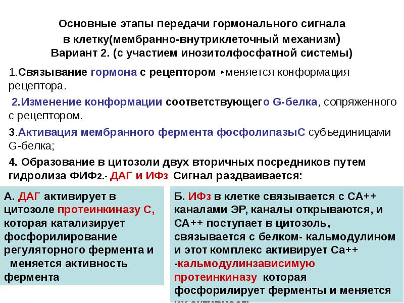 Механизмы передачи гормональных сигналов