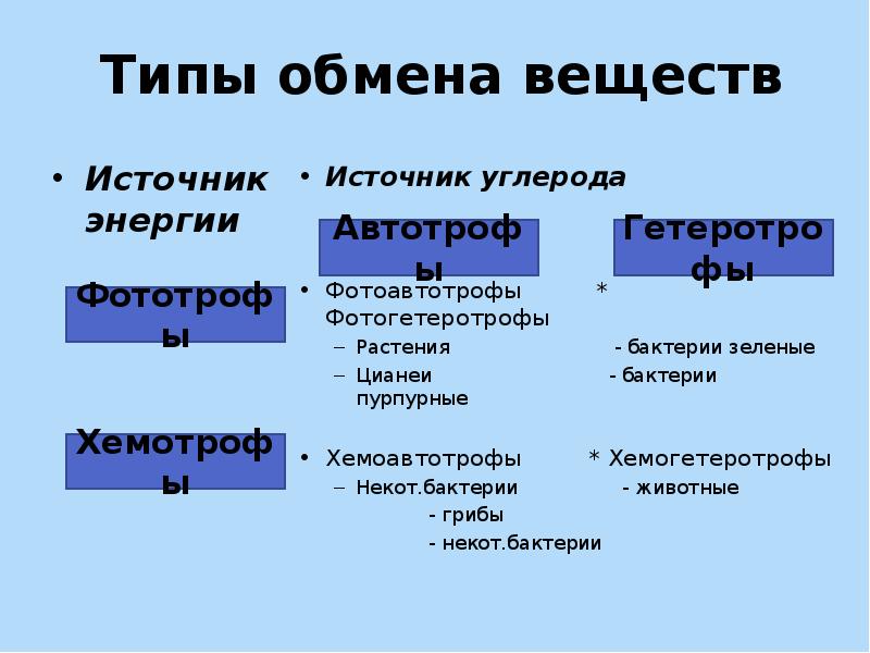 Обмен 8 класс. Типы обмена веществ у организмов. Типы обмена веществ биология 10 класс. Типы обмена веществ у человека. Типы обмена веществ таблица.