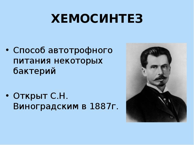 Хемосинтез обмен. Виноградский хемосинтез. Хемосинтез открыл в 1887. Сергей Виноградский хемосинтез. Виноградский открыл хемосинтез.