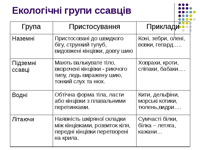 Реферат: Гризуни ондатри щурі миші бобри ховрахи