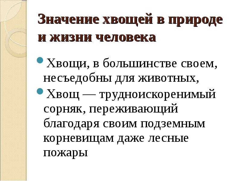 Каково значение плаунов хвощей. Хвощевидные роль в природе и жизни человека. Роль хвощей в жизни человека. Значение хвощей и плаунов в природе и жизни человека. Значение хвощей в природе и жизни человека.