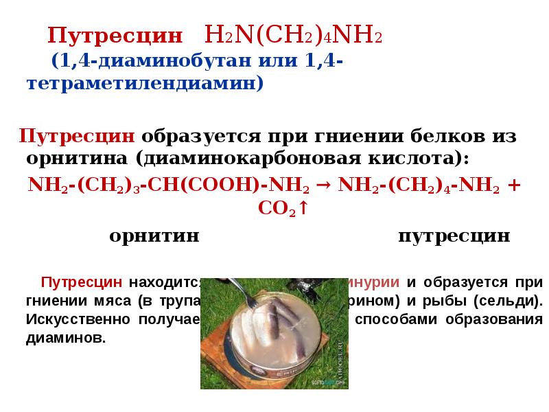 Реакция внутримолекулярной дегидратации холина. Дегидратация холина. Какое соединение серы образуется при гниении белка. Какое соединение серы образуется при гниении белка. Какие вещества образуются при гниении.