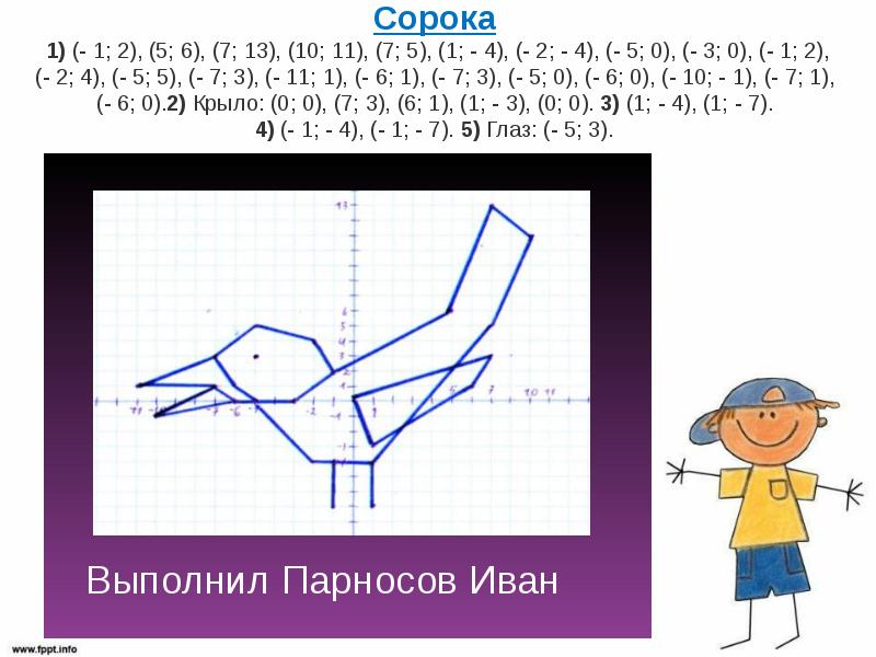 Сорока рисунок по координатам