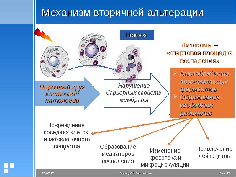 Презентация на тему воспаление патология