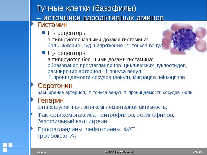 Презентация на тему воспаление патология