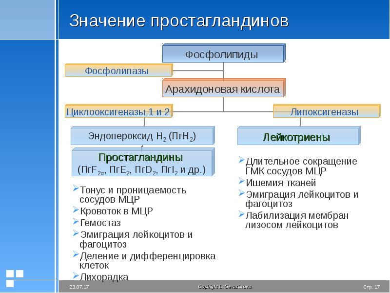 Презентация воспаление патологическая физиология