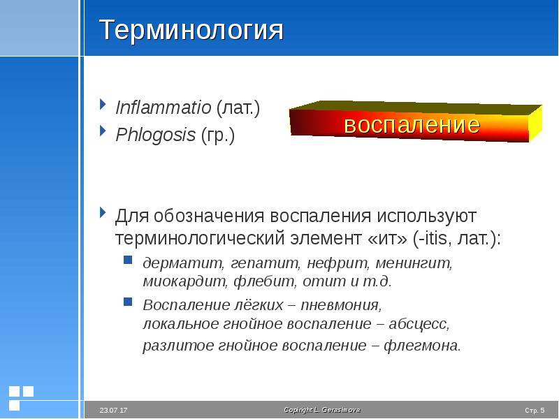 Презентация воспаление патологическая физиология