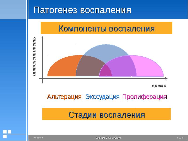 Презентация воспаление патологическая физиология