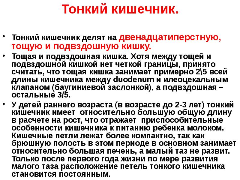 Презентация возрастные особенности развития пищеварительной системы