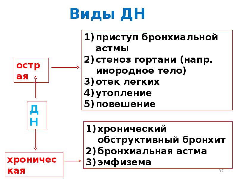 Синдром полости в легком презентация