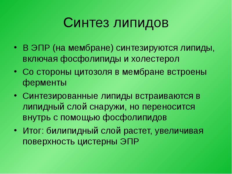 Синтез мембран