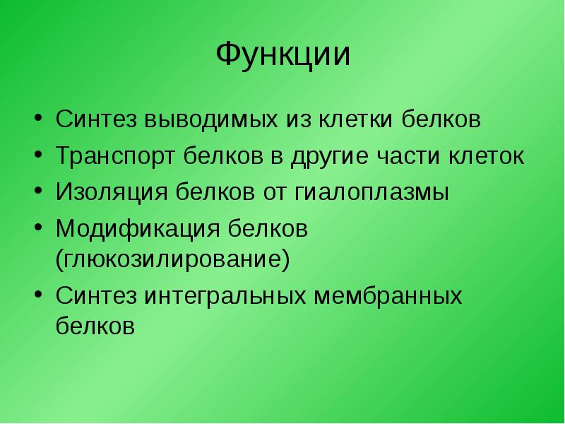 Функции белков биосинтез белков. Функции синтеза. Биосинтез белка в клетке вывод. Функционирование вакуолярной системы. Синтез роль.