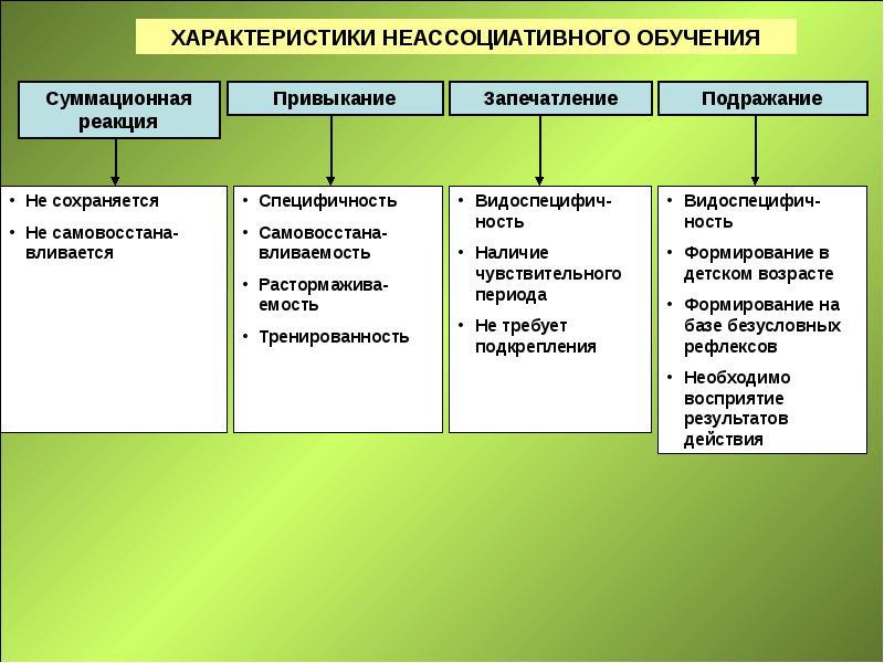 принципы образования в педагогике. характеристикам обучения относятся. характеристикам обучения относятся. характеристикам обучения относятся. процесс обучения это в педагогике.