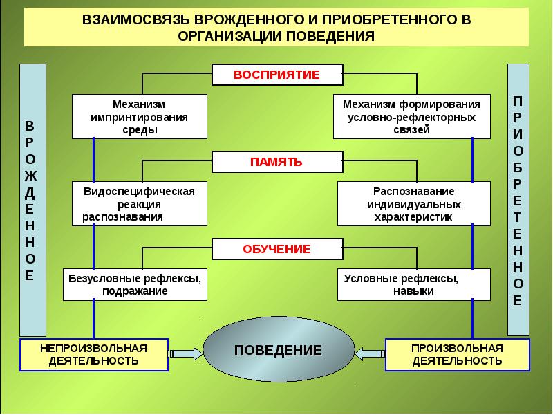 Врожденное и приобретенное поведение 8 класс биология презентация