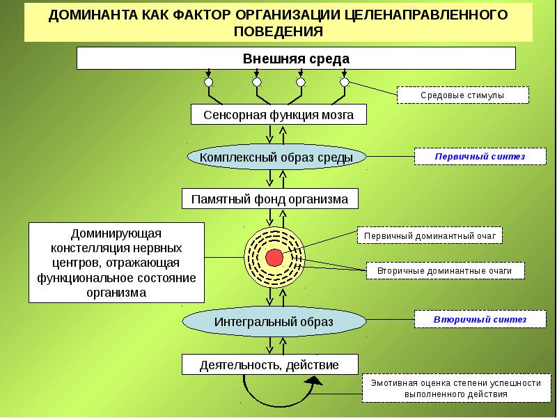 Врожденное и приобретенное поведение 8 класс биология презентация