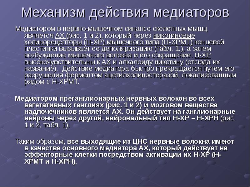 Схема нервно мышечного синапса физиология. Схема строения нейромышечного синапса. Клетка скелетной мышцы. Нейромедиатор скелетных мышц. Пресинаптическая мембрана нервно-мышечного синапса.