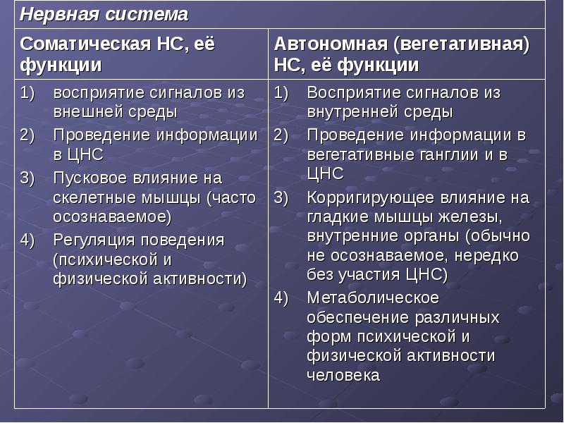 Соматическая нервная система функции. Функции автономной и соматической нервной системы. Функции соматической и вегетативной нервной системы. Соматический отдел нервной системы функции. Соматическая система функции.