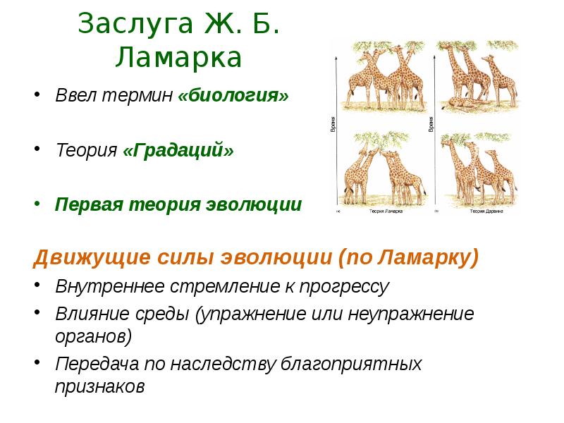 Презентация 9 класс эволюционная теория ламарка