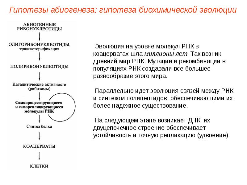 Развитие представлений о происхождении жизни презентация