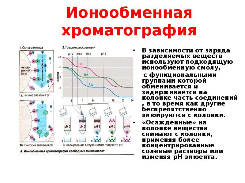 Принцип метода ионообменной хроматографии белков. Метод ионообменной хроматографии. Ионообменная хроматография колонка. Ионообменная хроматография схема.