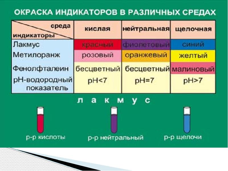 Презентация гидролиз органических веществ