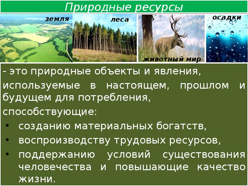 Объектом природной среды является. Природные объекты и явления. Природные объекты и ресурсы. Объект природы и объект техносферы. Что такое природный объект 5 класс.