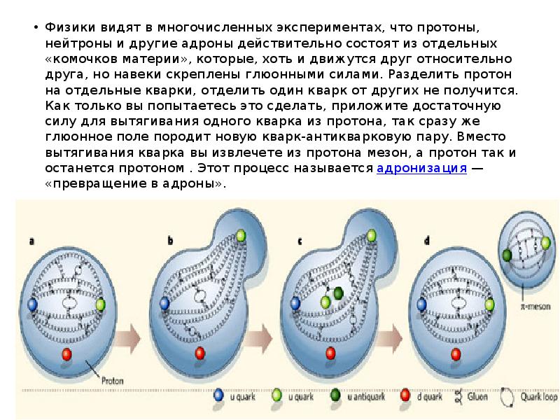 Адроны кварки презентация