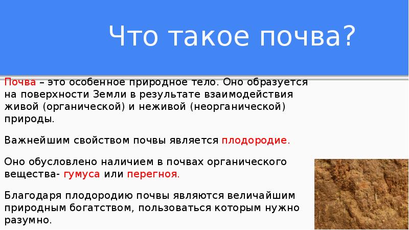 Утверждение почвы. Почва является веществом. Ошибочное высказывание о почве. Цитаты про почву. Укажите ошибочное высказывание почва это.