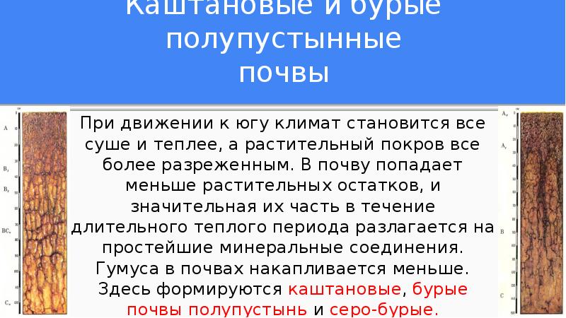 Географическое положение полупустынных почв