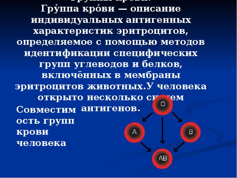 Закон моргана генетика презентация