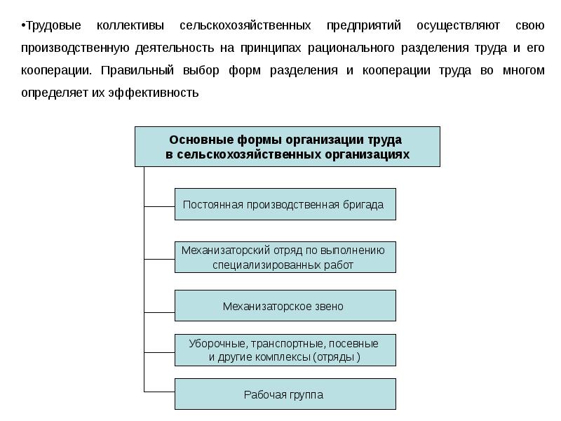 Организация работы в научном коллективе презентация