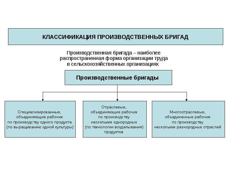 Организация работы в научном коллективе презентация