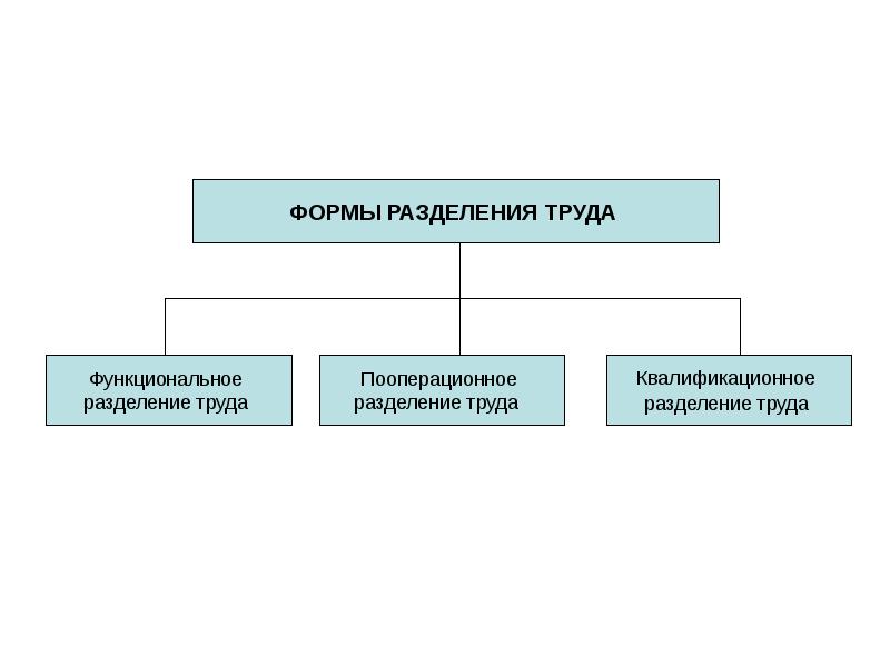 Роль разделения труда. Три вида разделения труда. Форм разделения труда в системе управления. Перечислите формы разделения труда.