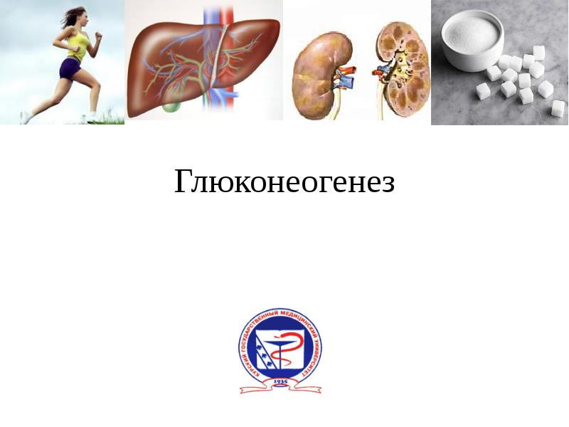 Глюконеогенез Глюконеогенез