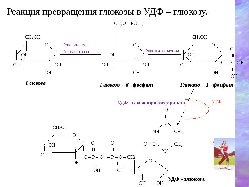 Глюкоза презентация 10 класс химия