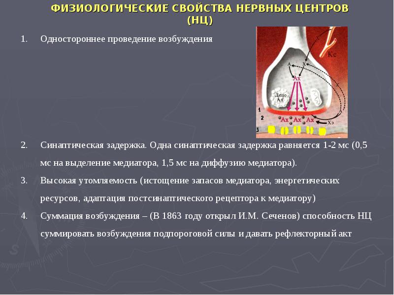 Возбуждение нервных центров. Одностороннее проведение возбуждения. Передача возбуждения на нервный центр. Одностороннее проведение возбуждения в синапсах. Особенности передачи возбуждения в нервных центрах.