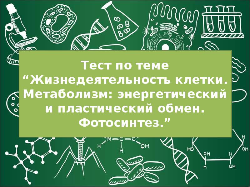 Реферат: Метаболизм как основа жизнедеятельности клетки