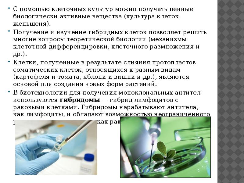 Селекция и биотехнология презентация