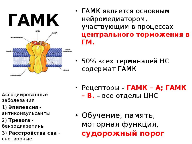 Гамк. ГАМК рецепторы. ГАМК строение. ГАМК структура.