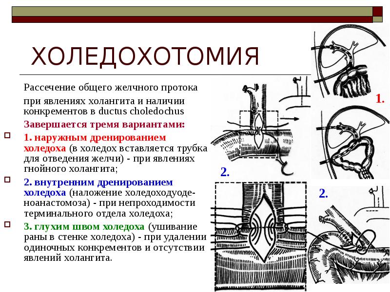 Топографическая анатомия инструменты презентация