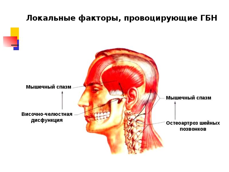 Спазм головы форум. Сокращение сосудов головного мозга. Спазм головы форум. Тензионный тип головной боли. Сокращение сосудов головного мозга.