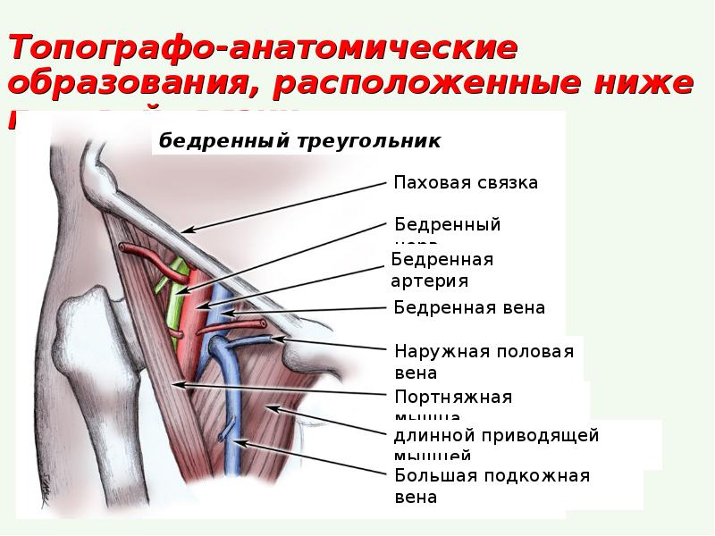 Паховая связка болит