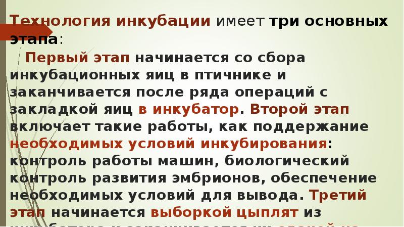 Технология инкубации имеет три основных этапа: Первый этап начинается со Технология инкубации имеет три основных этапа: Первый этап начинается со