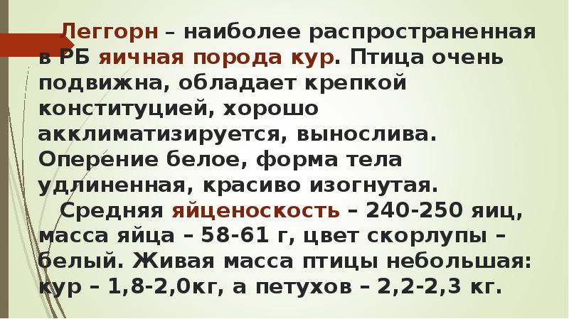Леггорн – наиболее распространенная в РБ яичная порода кур. Птица очень Леггорн – наиболее распространенная в РБ яичная порода кур. Птица очень