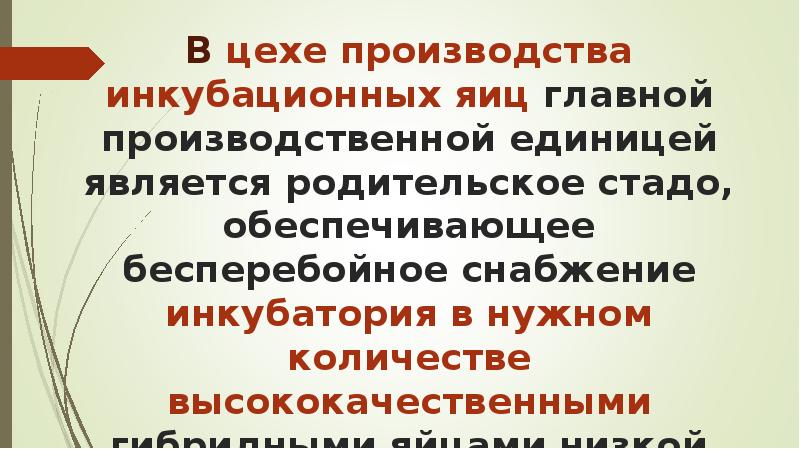 В цехе производства инкубационных яиц главной производственной единицей является родительское стадо, обеспечивающее В цехе производства инкубационных яиц главной производственной единицей является родительское стадо, обеспечивающее