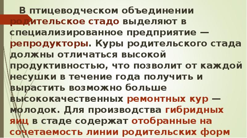 В птицеводческом объединении родительское стадо выделяют в специализированное предприятие — репродукторы. В птицеводческом объединении родительское стадо выделяют в специализированное предприятие — репродукторы.